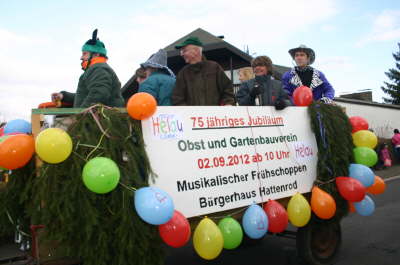 Rosenmontagszug 2012 in Hattenrod 